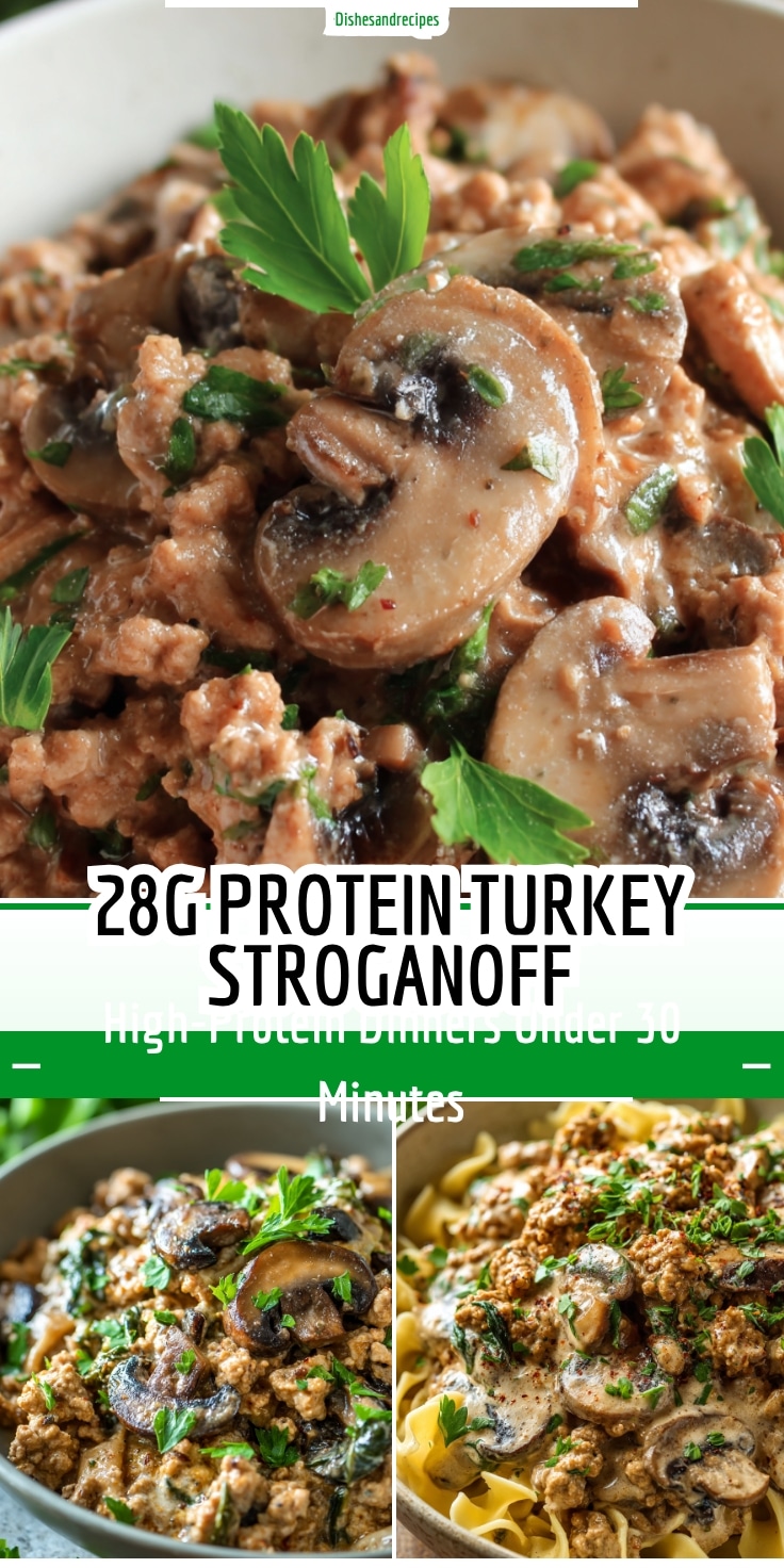 28g Protein Turkey Stroganoff